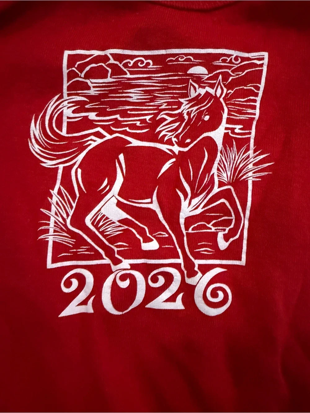 Year of horse 2026 onesies 3-6